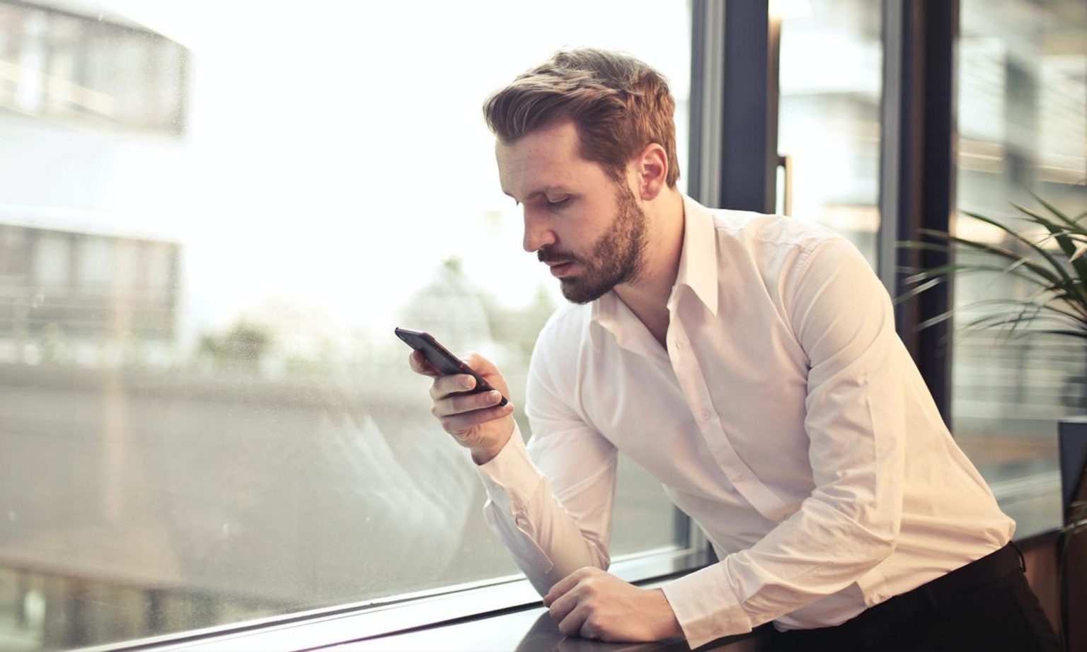 Sử dụng một số website có hỗ trợ tạo CV